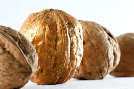 large bronze-walnuts in shell isolated on white backgroundの写真素材