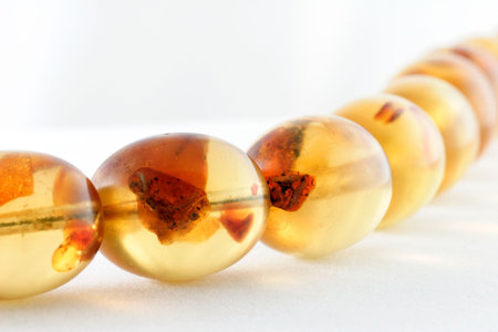 ambers on white background show their own structureの写真素材