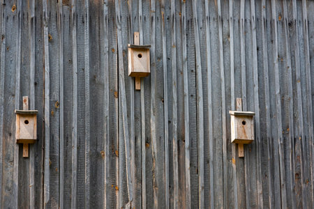 Three wooden houses for birds on a wooden wall