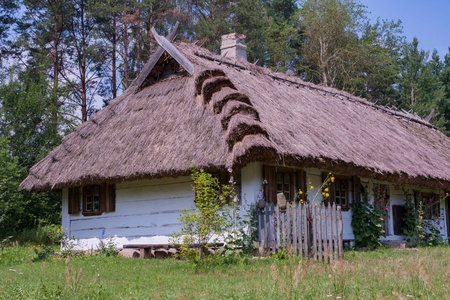 Old country cottage thatched roof in a natural environmentの写真素材