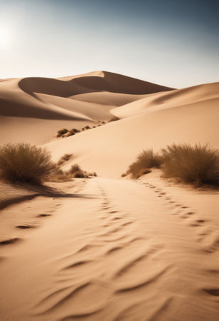 Sand dunes in the Sahara desert, Merzouga, Moroccoの素材