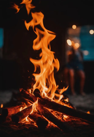 Campfire in the night. Bonfire in the night. The fire in the night.の素材