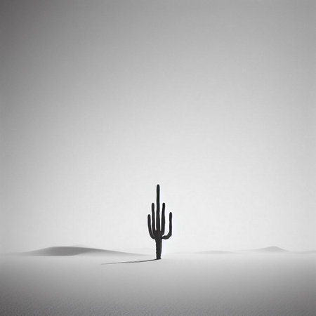 Silhouette of a cactus in the desert. black and whiteの素材