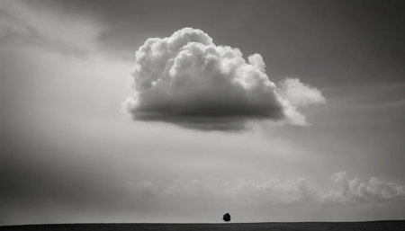 Cloudscape with dramatic light over the sea. Black and white photo.の素材