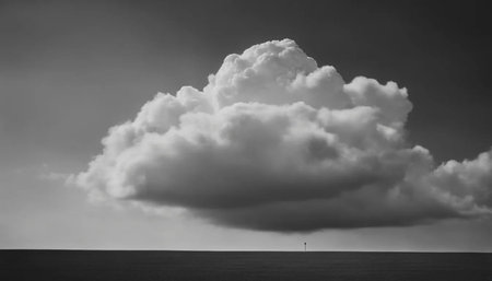 Clouds over the sea. Black and white image of clouds.の素材
