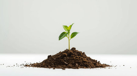 Green seedling illustrating concept of new life and investment in white backgroundの素材