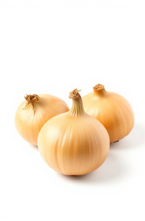 onion isolated on white background with clipping path and full depth of fieldの素材