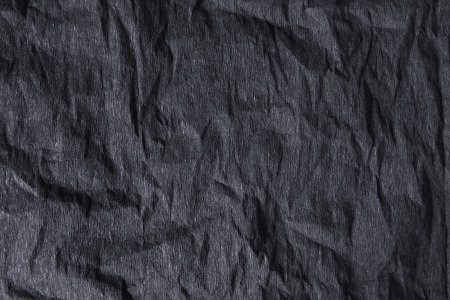 Flowers of white orchid on a white backgroundの写真素材