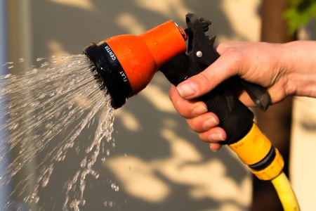 Watering garden equipment - hand holds the sprinkler hose for irrigation plants. Gardener with watering hose and sprayer water on the vegetable.の写真素材