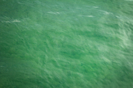 Green transparent sea water background with little waves on surfaceの写真素材