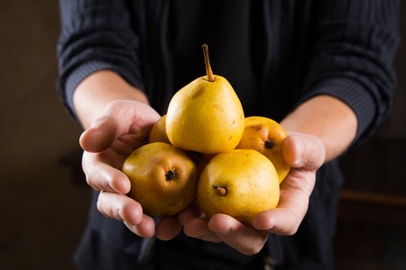 Organic fruit. Healthy food. Fresh pears in farmers handsの写真素材