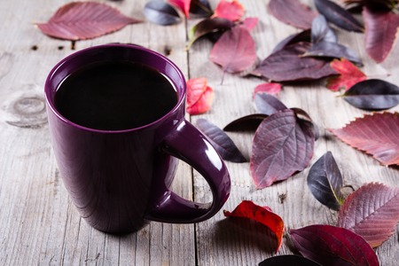 Cup of coffee surounded by red and purple fall leaves. Top viewの写真素材