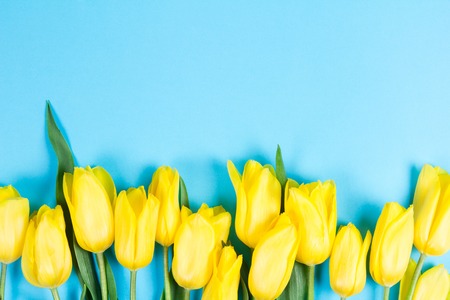 Bouquet of beautiful fresh yellow tulips on blue background. View from above photo. Space for textの写真素材