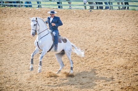Man Riding a white horseのeditorial素材