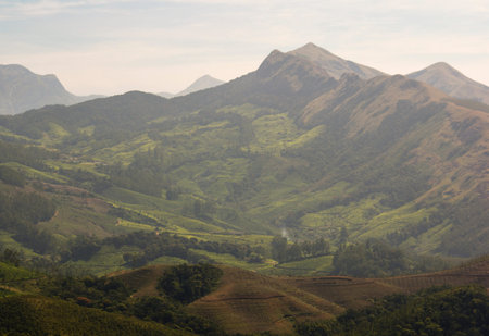 A peak above the tea plantations in the Western Ghats, India