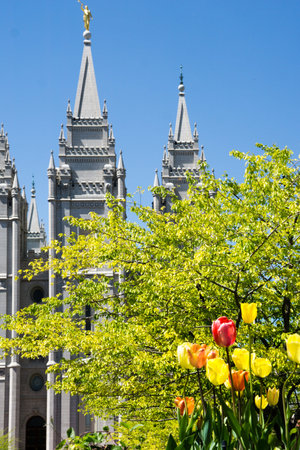 Salt Lake City, Utah, USA - April 18, 2015 - flowers in front of the Mormon temple in Salt Lake...