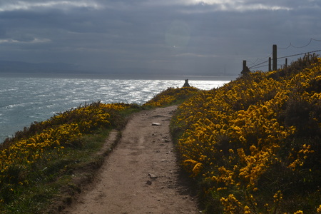 Way through the cliffs of Howth in Irelandの写真素材
