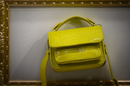 Yellow crocodile skin hand bag in golden pfoto frame. Consumerism consept