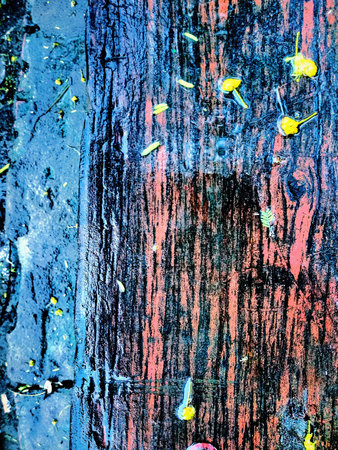 A wet wooden seat after heavy rainfall and wind plucked flowers.