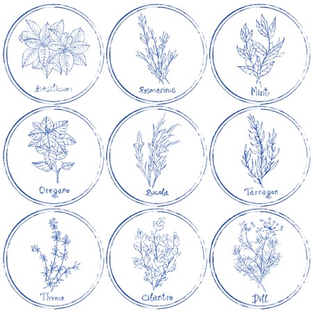 Vector set of herbs. Stamp herbs set. Vector illustrationのイラスト素材