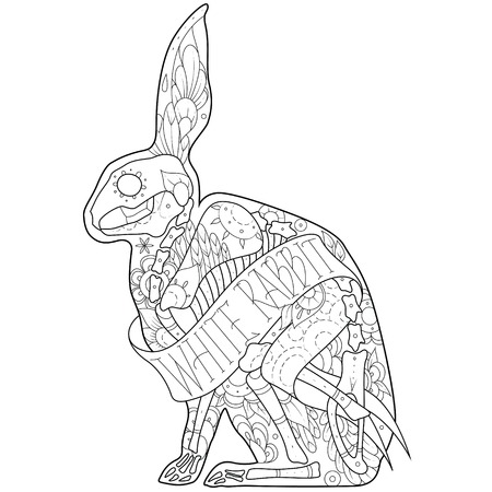 Greeting card with rabbit, skeletons with floral patterns. Outline rabbit. Vector illustrationのイラスト素材