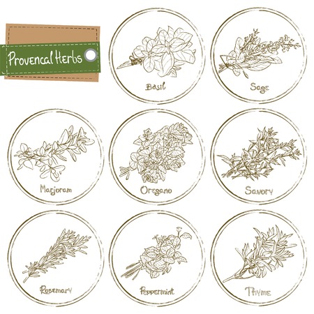 Provencal Herbs set. Provencal Herbs. Vector illustrationのイラスト素材