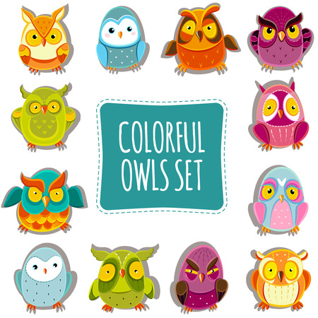 Colorful Vector Owls set. Vector Owls. Vector illustrationのイラスト素材