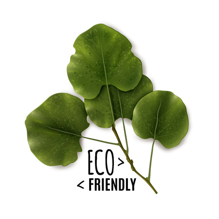 Realistic leaves with eco quote on a white background. Eco Friendly Poster. Vector illustrationのイラスト素材