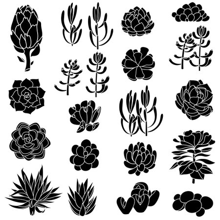Set of gradient black succulents and artichokes leaves and petals. Isolated black silhouettes of succulents. Vector illustrationのイラスト素材