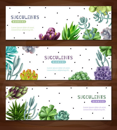 Horizontal banners set on a wooden board . Succulent plants horizontal banners. Vector illustrationのイラスト素材