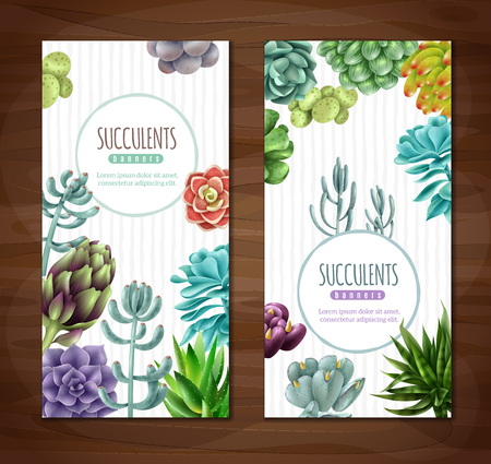 Vertical banners set on a wooden board . Succulent plants vertical banners.のイラスト素材