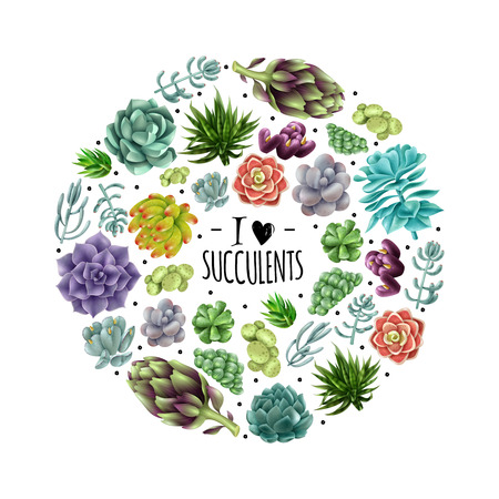 Set of gradient colored succulents and artichokes leaves and petals. Isolated colored succulents. Vector illustrationのイラスト素材