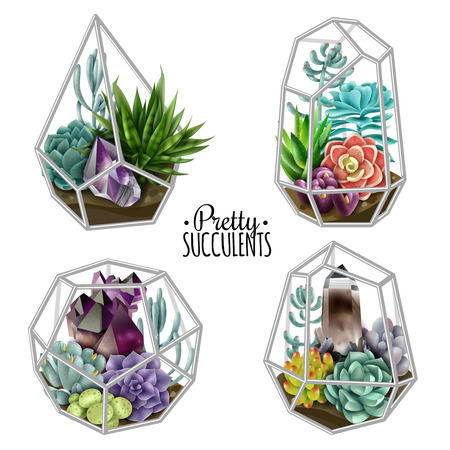 Isolated colored compositions of succulents with crystals. Vector illustrationのイラスト素材