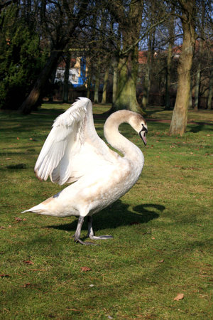 beautiful momentの写真素材