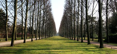Line of sightの写真素材