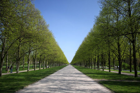 Into infinity and beyondの写真素材