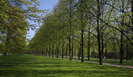 A beautiful dayの写真素材