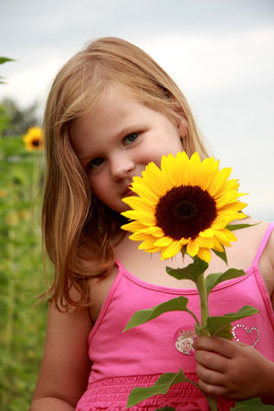 Sunflower girlの写真素材