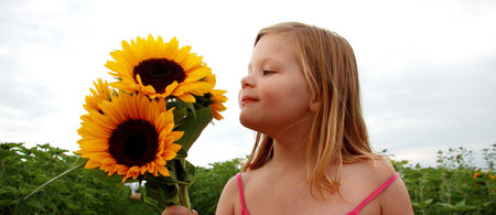 What a bunchの写真素材