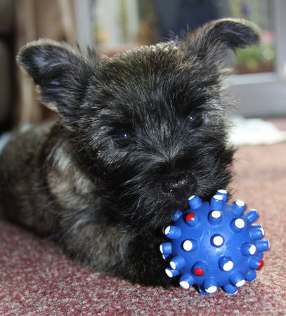 My ballの写真素材