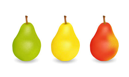 Three delicious juicy pears  green, yellow and redのイラスト素材