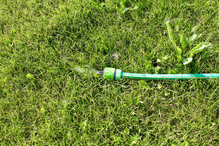 Watering hose on a green, well maintained lawnの写真素材