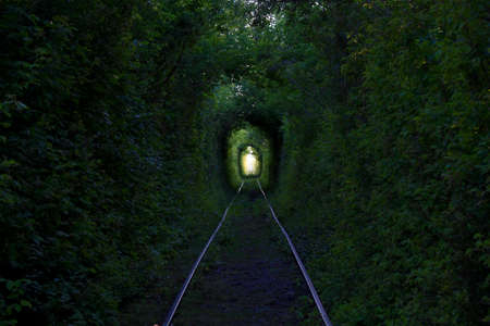 The Tunnel of Love. Wonders of nature. A natural arch formed by intertwined trees above a railway. Arch of Green tunnel of trees in the forest . Tunnel of love. Russiaの写真素材