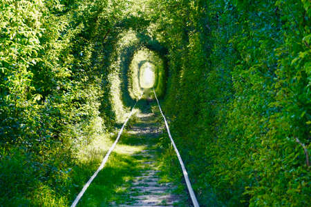 The Tunnel of Love The real wonders natureの写真素材