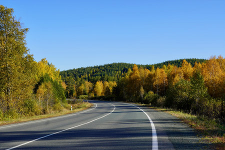 Autumnal Park. Autumn Trees and Leaves. Fall. Golden green orange leaves. Golden birch. The road...