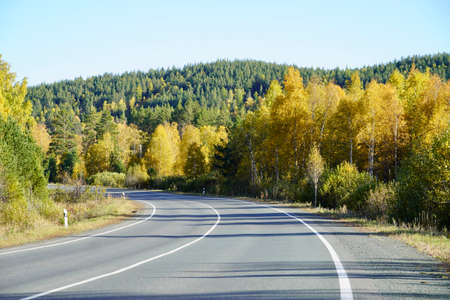 Autumnal Park. Autumn Trees and Leaves. Fall. Golden green orange leaves. Golden birch. The road going far away through the golden magic forestの写真素材