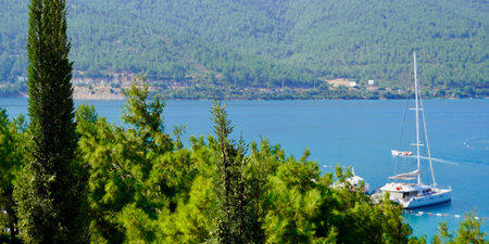 Great summer Landscape panorama of the emerald Lagoon with white yachts.Tropical trees in the foreground. Green morning scene of Bodrum, Turkey. Beauty of nature concept background. High quality photoの写真素材