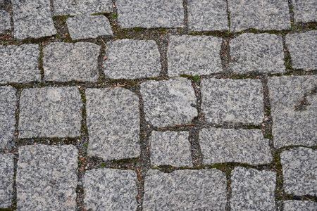 Old gray pavement in historical city centreの写真素材