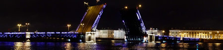 Saint Petersburg. Russia. Panoramic view. The Palace bridge is divorced. Raising of the bridges. Bridges Of Petersburg. View from the Neva to the Hermitage. Winter palace in the evening. Panorama of the city. Blue illuminated of the bridge. One of the main landscapes of Saint-Petersburgの写真素材