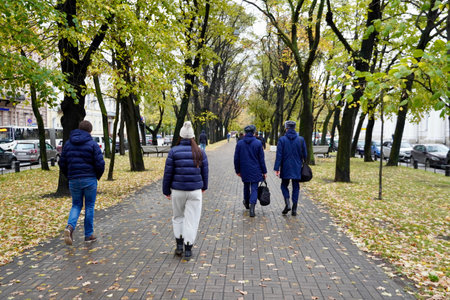 Saint-Petersburg, Russia - November, 2020 Autumn view, People walk in the park. People walks through the alley among the autumn trees. Yellow leaves, autumn park, Men and women resting in autumn park.のeditorial素材